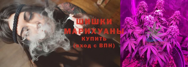 a pvp Аркадак