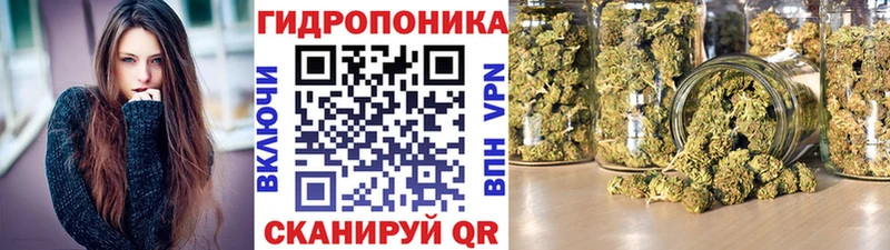 Каннабис OG Kush  Новый Оскол 
